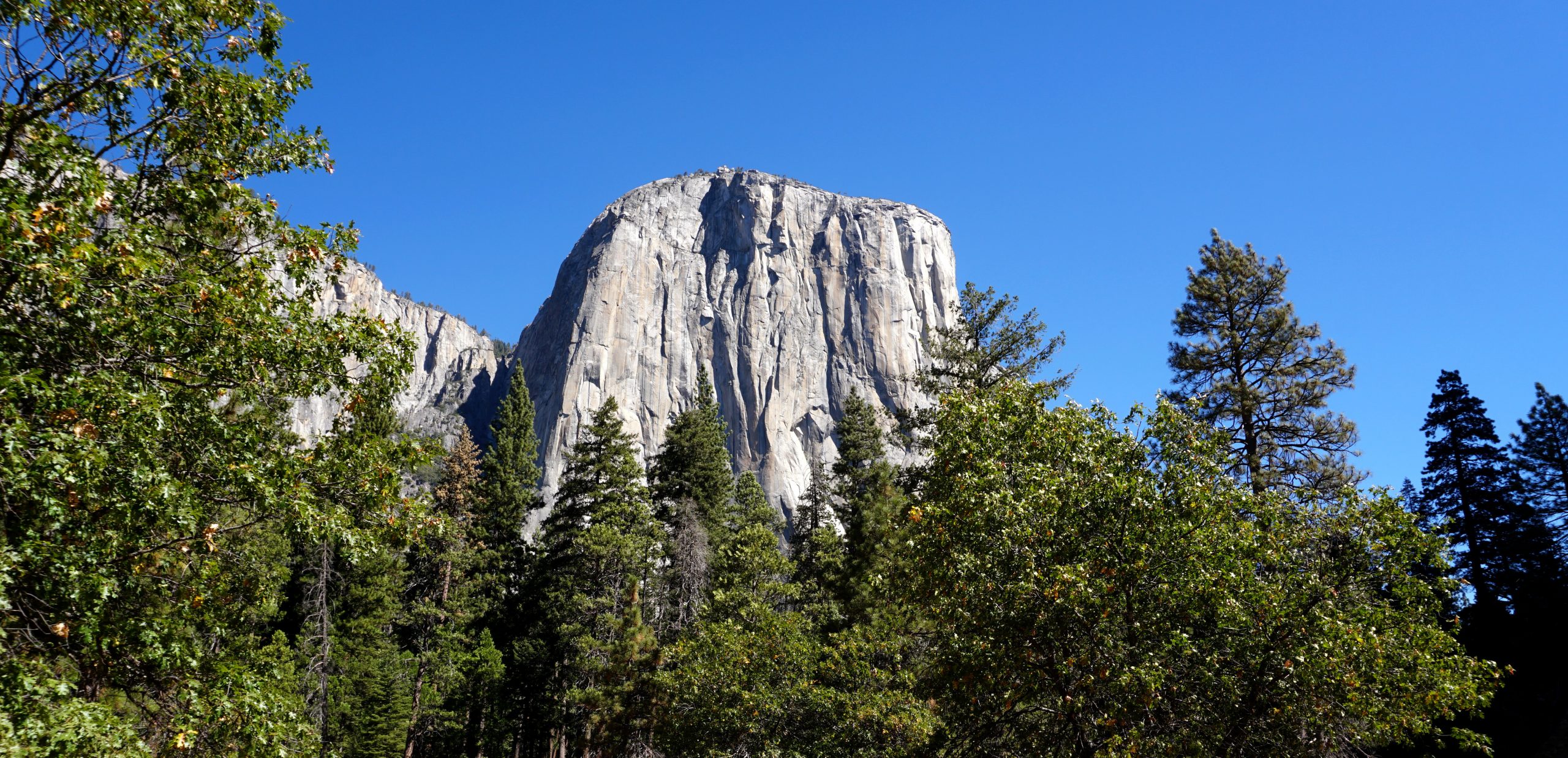 California: Yosemite, Sequoia National Park